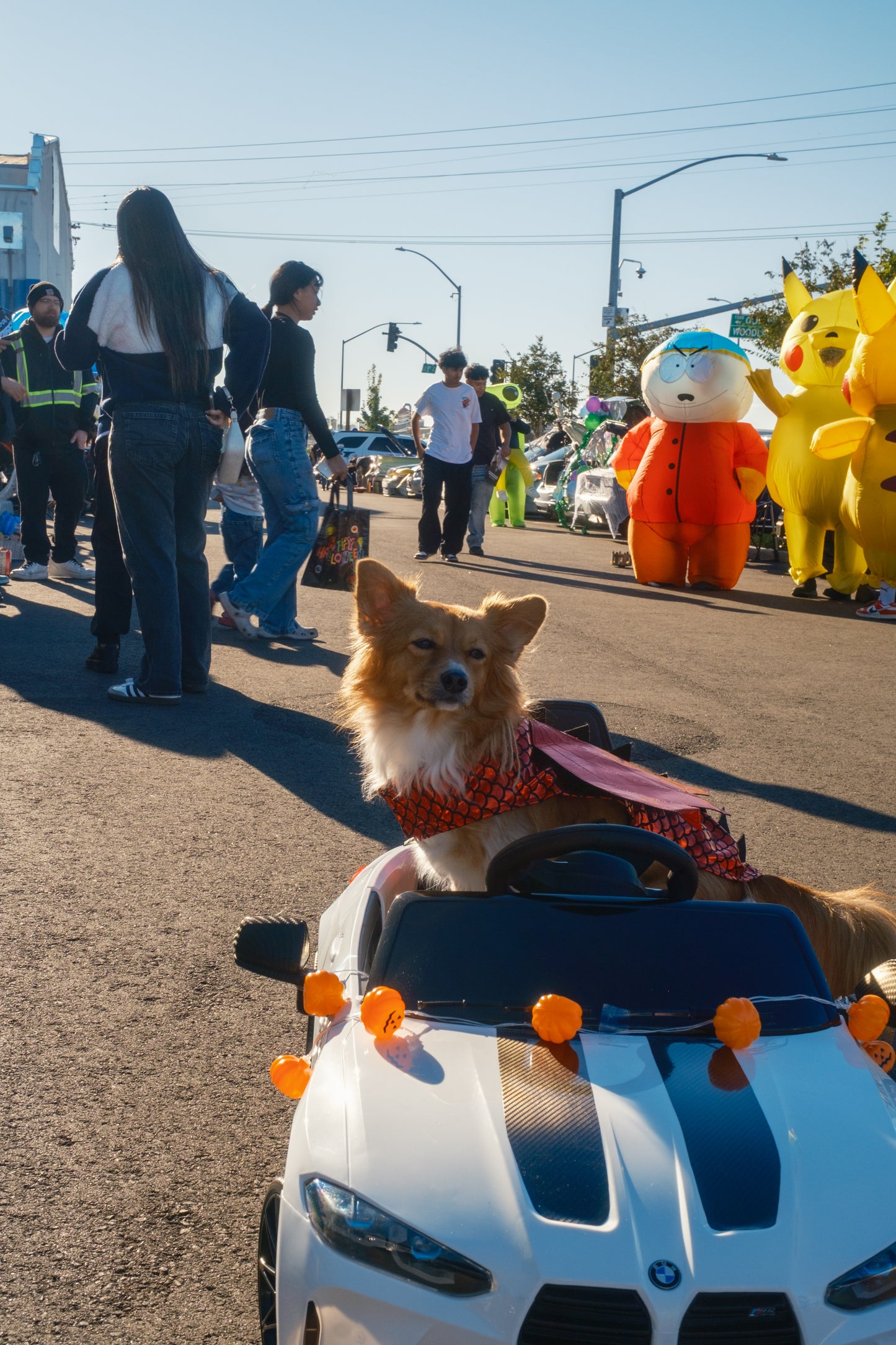 Trunk or Treat '26