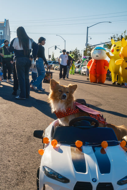 Trunk or Treat '26